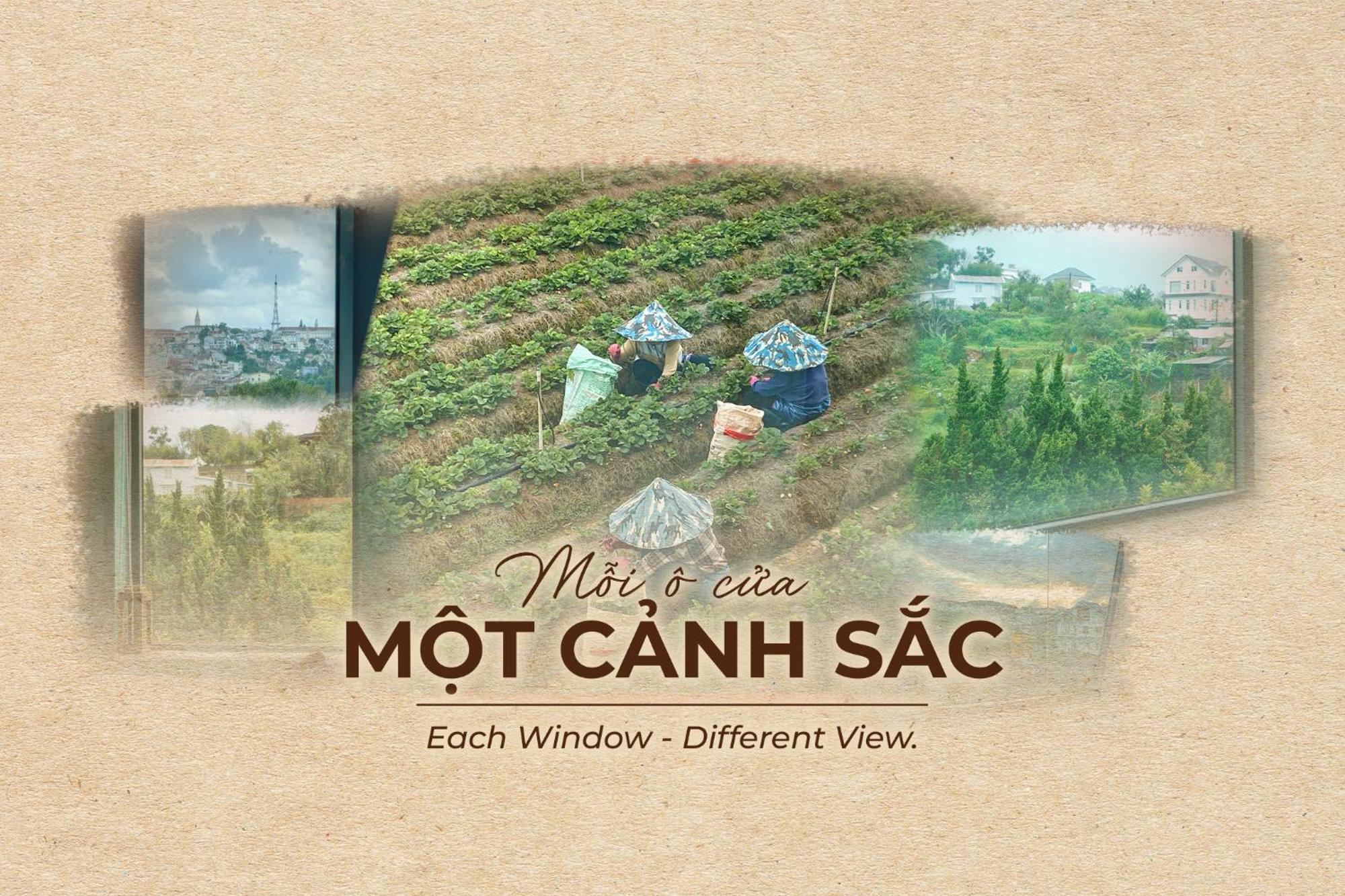 Hanoi Amsterdam Art Studio Далат Екстер'єр фото